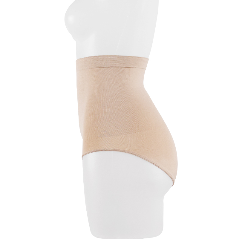 High Waist Hip Enhancer Briefs