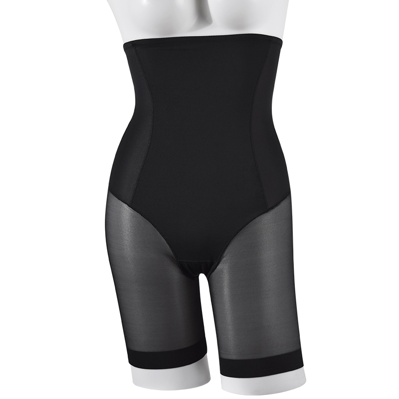 High Waist Briefs with Mesh