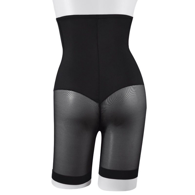 High Waist Briefs with Mesh